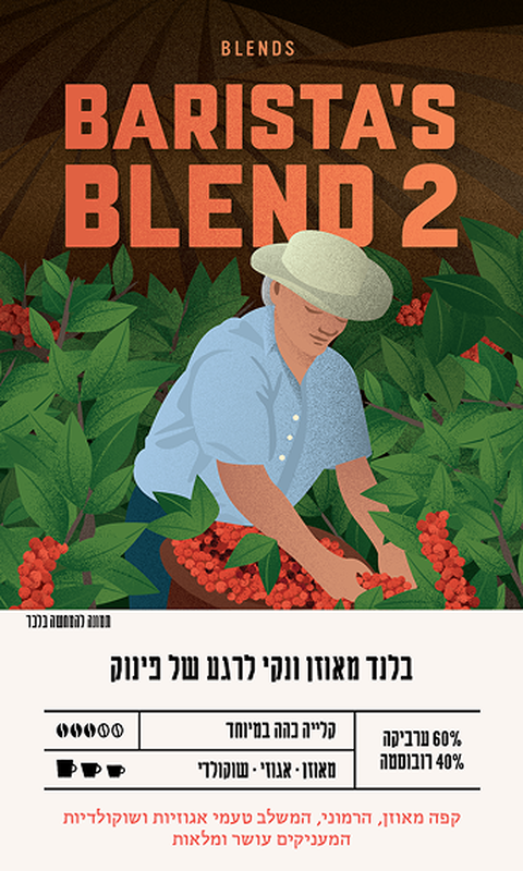 בריסטה בלנד&lrm; 3&ndash;1 ק image number 1